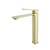 Arka FAV-1005BGD Bathroom Sink Faucet in Brushed Gold/Brushed Gold