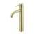 Arka FAV-1007BGD Bathroom Sink Faucet in Brushed Gold/Brushed Gold