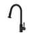 Arka FAK-309MBK Kitchen Faucet in Matte Black/Matte Black