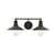 ARKA-E LD4033W21BK Vanity Light in Black/Black