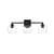 ARKA-E LD7308W25BLK Vanity Light in Black/Clear/Black