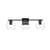 ARKA-E LD7311W24BLK Vanity Light in Black/Clear/Black