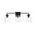 ARKA-E LD7314W23BLK Vanity Light in Black/Clear/Black