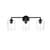 ARKA-E LD7315W23BLK Vanity Light in Black/Clear/Black