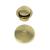 Brasstech 273/01 Solid Brass Toe Activated Drain Kit in Forever Brass (PVD)