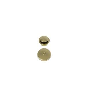Brasstech 273/04 Solid Brass Toe Activated Drain Kit in Satin Brass (PVD)