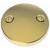 Brasstech 266/01 3" Brass Two Hole Faceplate For Overflow in Forever Brass (PVD)