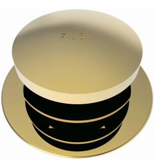 Brasstech 272/01 Toe Activated Tub Drain in Forever Brass (PVD)