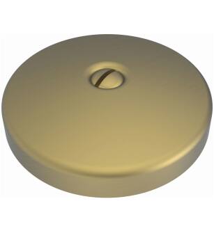 Brasstech 265/06 3" Solid Brass Single Hole Faceplate For Waste And Overflow in Antique Brass