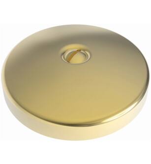 Brasstech 265/01 3" Solid Brass Single Hole Faceplate For Waste And Overflow in Forever Brass (PVD)