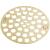 Brasstech 238/01 Solid Brass Strainer For Plastic Oddities, Prier Brass, Richmond Foundry, Cp Industries And Rapidfit Shower Drains in Forever Brass (PVD)