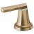 Brizo HL6898-GL Levoir Bidet Lever Handle Kit in Luxe Gold