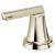 Brizo HL6898-PN Levoir Bidet Lever Handle Kit in Polished Nickel