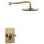 Brizo Allaria™ T60267-GLLHP TempAssure® Thermostatic Shower Only Trim - Less Handles in Luxe Gold