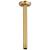 Brizo Universal Showering RP48986PG 10" Ceiling Mount Shower Arm And Round Flange in Polished Gold