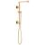 Brizo Universal Showering 80099-PG 18" Linear Square Shower Column in Polished Gold