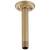 Brizo Universal Showering RP48985GL 6" Ceiling Mount Shower Arm And Round Flange in Luxe Gold