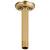 Brizo Universal Showering RP48985PG 6" Ceiling Mount Shower Arm And Round Flange in Polished Gold