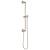 Brizo Universal Showering 74795-BN Classic Round Slide Bar With Hose in Brushed Nickel