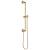 Brizo Universal Showering 74795-GL Classic Round Slide Bar With Hose in Luxe Gold