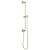 Brizo Universal Showering 74795-PN Classic Round Slide Bar With Hose in Polished Nickel