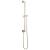 Brizo Universal Showering 74799-PN Linear Square Slide Bar With Hose in Polished Nickel