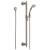 Brizo Charlotte® 85785-BN Single-Function Slide Bar Hand Shower in Brushed Nickel