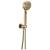 Brizo Levoir™ 88898-GL H2Okinetic® Multi-Function Wall Mount Handshower in Luxe Gold