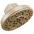 Brizo Levoir™ 87498-GL H2Okinetic® Round Multi-Function Showerhead in Luxe Gold