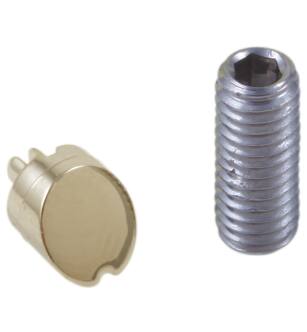 Delta Cassidy™ RP72561PN Set Screw & Button - Diverter in Polished Nickel