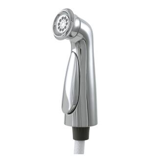 Delta Cassidy™ RP72751 Side Spray & Hose Assembly in Chrome