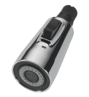 Delta Essa® RP80524 Spray Assembly - Pull-Down in Chrome