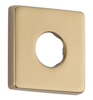 Delta Other RP51034CZ Flange - Shower in Champagne Bronze