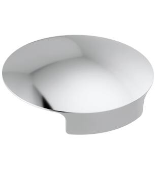 Delta Other RP101289 Glass Rinser Cover in Chrome