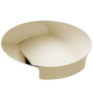 Delta Other RP101289PN Glass Rinser Cover in Polished Nickel