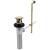 Delta Other RP26533PB Metal Drain Assembly - Less Lift Rod - Bathroom in Polished Brass