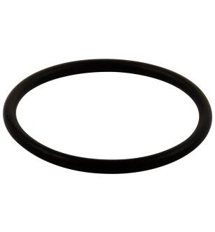 Delta Other RP23336 O-Ring - Large - All Monitor® Series