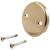 Delta Other RP31556CZ Overflow Plate & Screws - No Trip Lever in Champagne Bronze