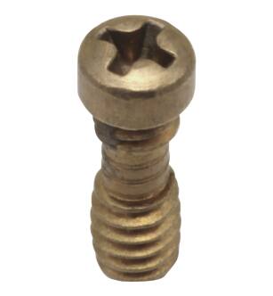 Delta Other RP20185 Retention Screws (2) - 1/2"
