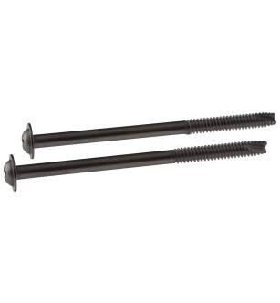 Delta Other RP12629 Screws (2) in Chrome