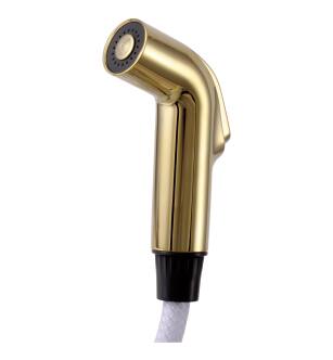 Delta Other RP28900PB Side Spray & Hose Assembly in Polished Brass