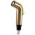 Delta Other RP28900PB Side Spray & Hose Assembly in Polished Brass