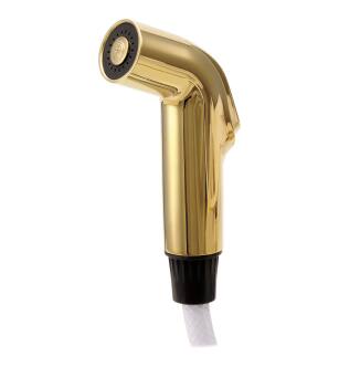 Delta Other RP39345PB Side Spray & Hose Assembly in Polished Brass