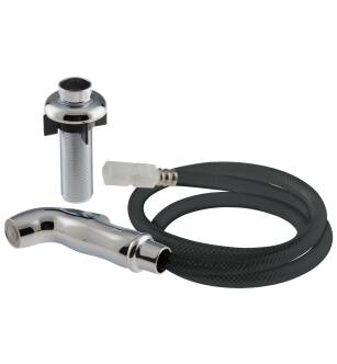 Delta Other RP54807 Spray and Hose Assembly with Spray Support in Chrome