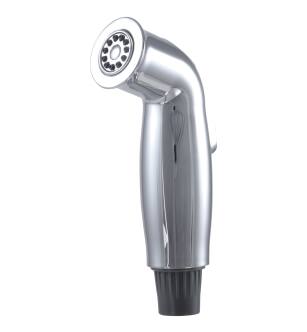 Delta Other RP43524 Spray Assembly in Chrome