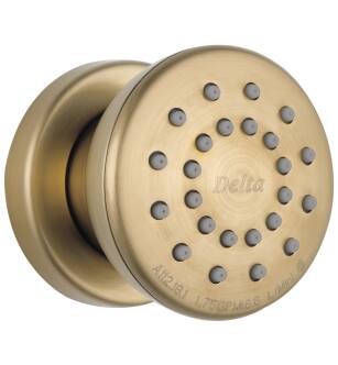 Delta Other 50102-CZ Surface Mount Body Spray in Champagne Bronze
