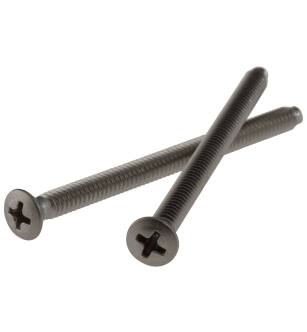Delta Pivotal™ RP196SS Screws (2) - Escutcheon Trim in Stainless