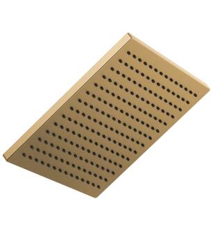 Delta Universal Showering Components 52159-CZ25 Single-Setting Metal Raincan Shower Head in Champagne Bronze