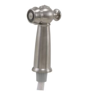 Delta Victorian® RP37489SS Side Spray & Hose Assembly in Stainless