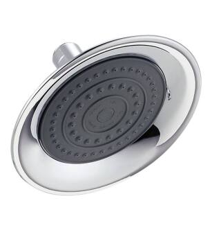 Delta RP61181 Universal Showering 6" Raincan Single-Setting Shower Head with Touch-Clean Technology